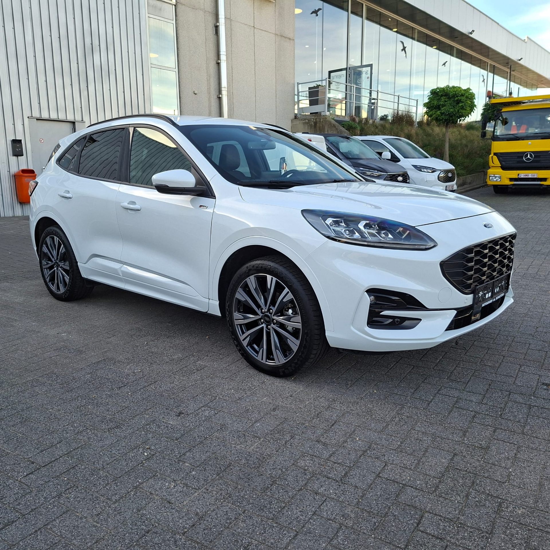 Ford Kuga ST – Line X / PHEV / frozen White