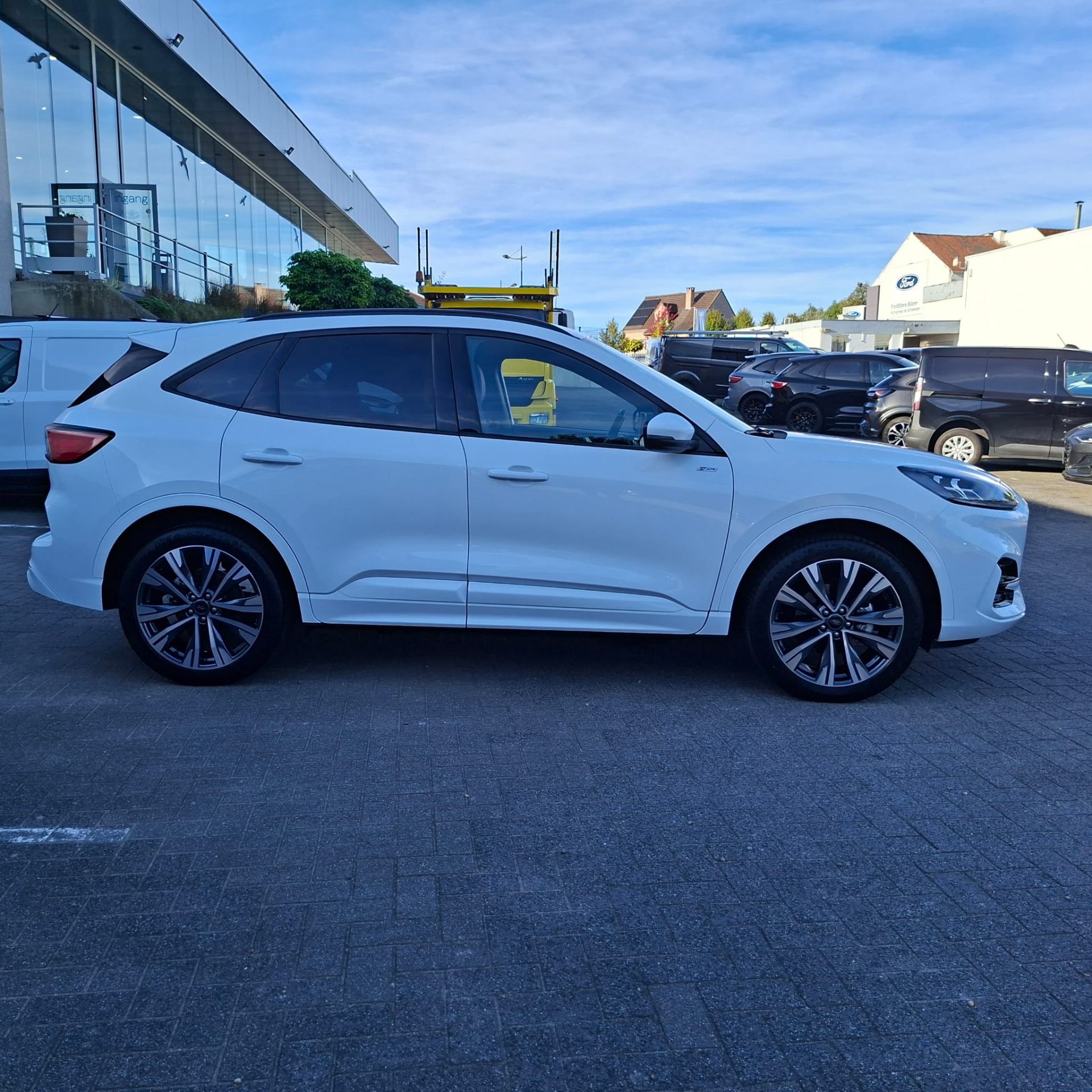 Ford Kuga ST – Line X / PHEV / frozen White
