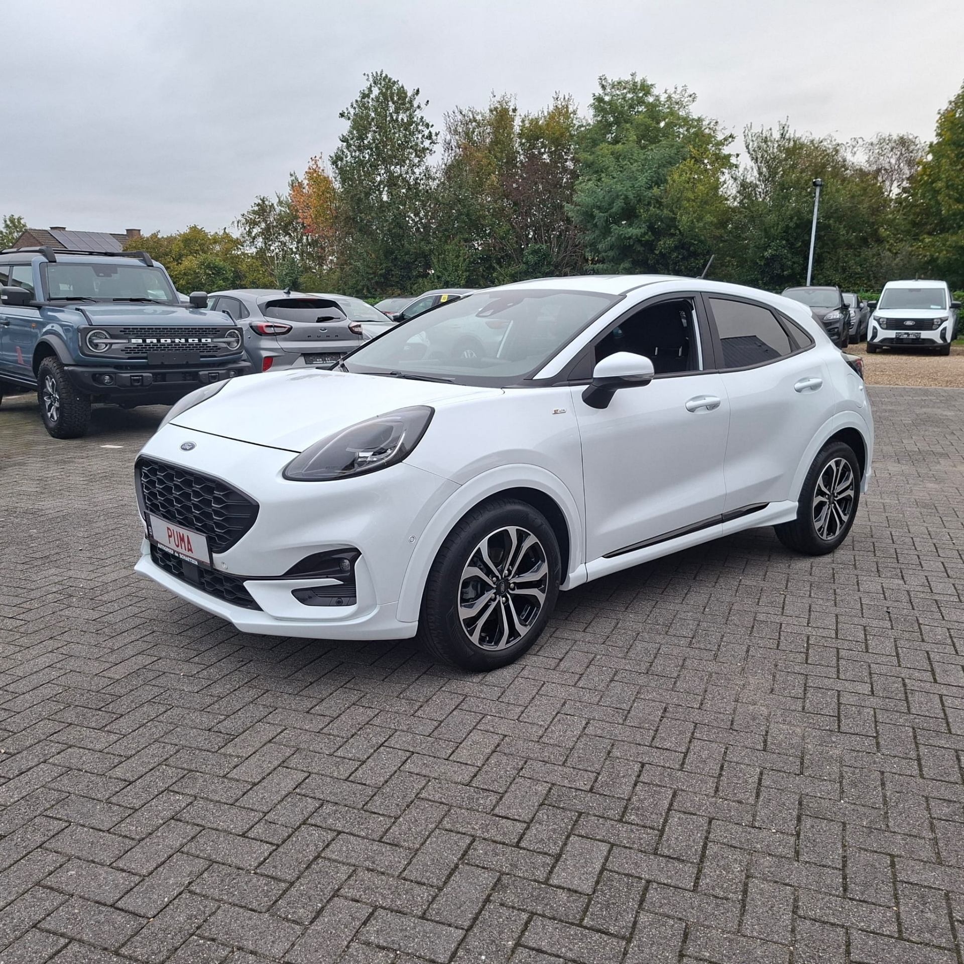 Ford Puma ST – Line  MHEV  125PK  A7  Frozen White